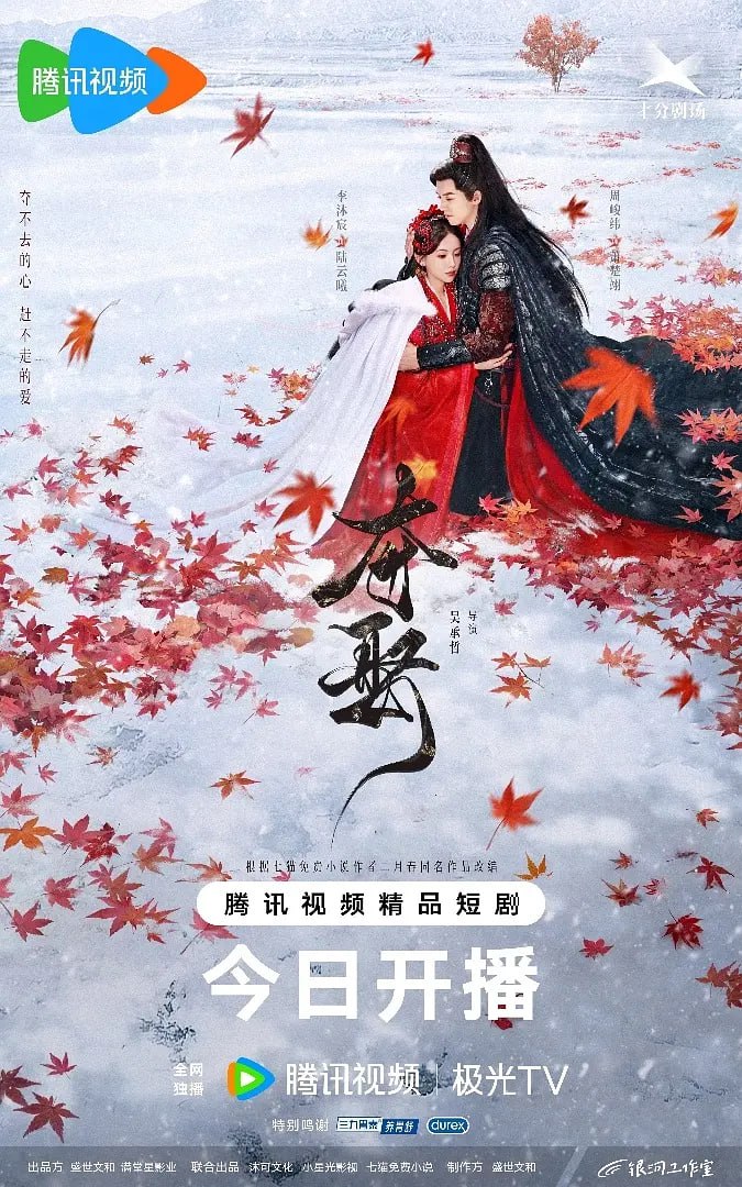 夺娶 2025(全集)