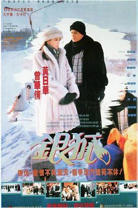 银狐粤语 第29集