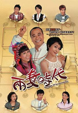 两妻时代粤语 第17集