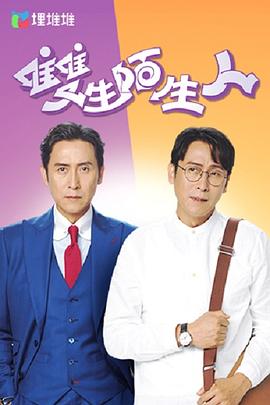 双生陌生人粤语 第13集