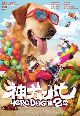 神犬小七第二季 第36集