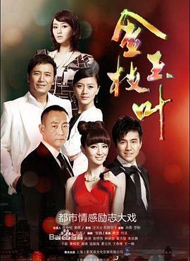 金枝玉叶2011 第26集