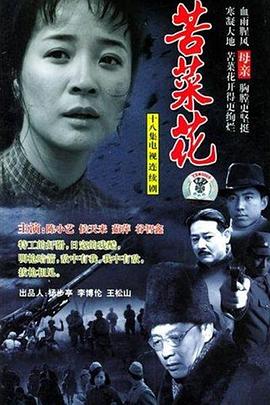 苦菜花2004 第13集