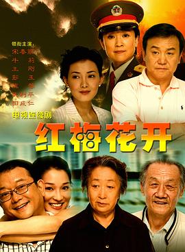 红梅花开(全集)